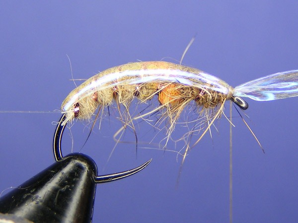 Czech Style Nymph - czech nymph - How to tie fly, Fly tying Step by ...
